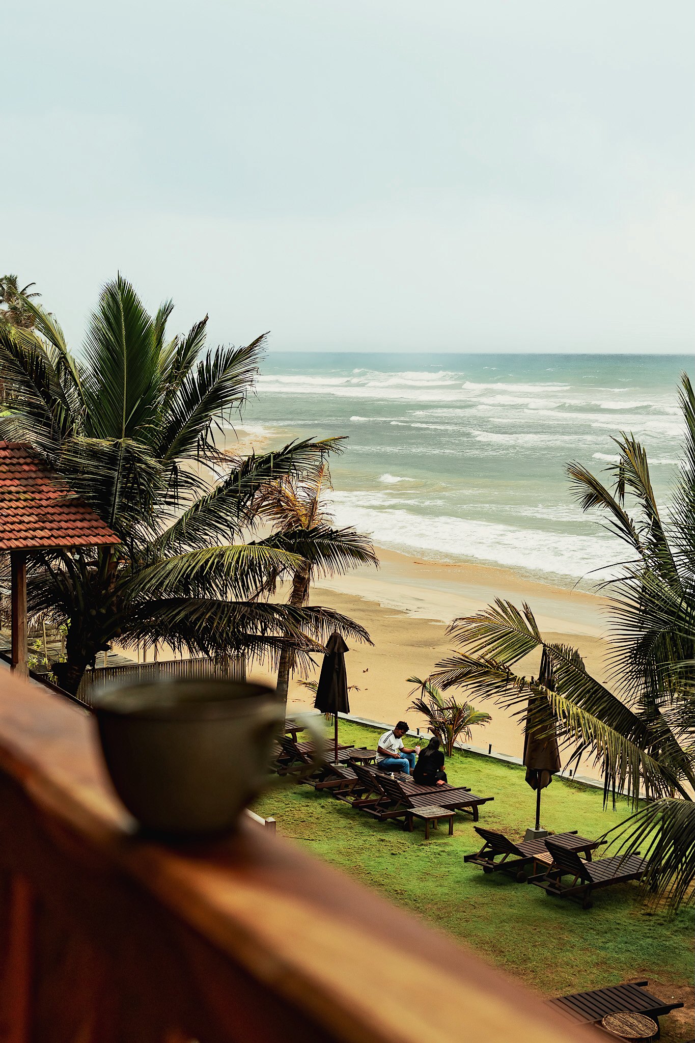 A cup resting on a timber rail above the garden and the beach