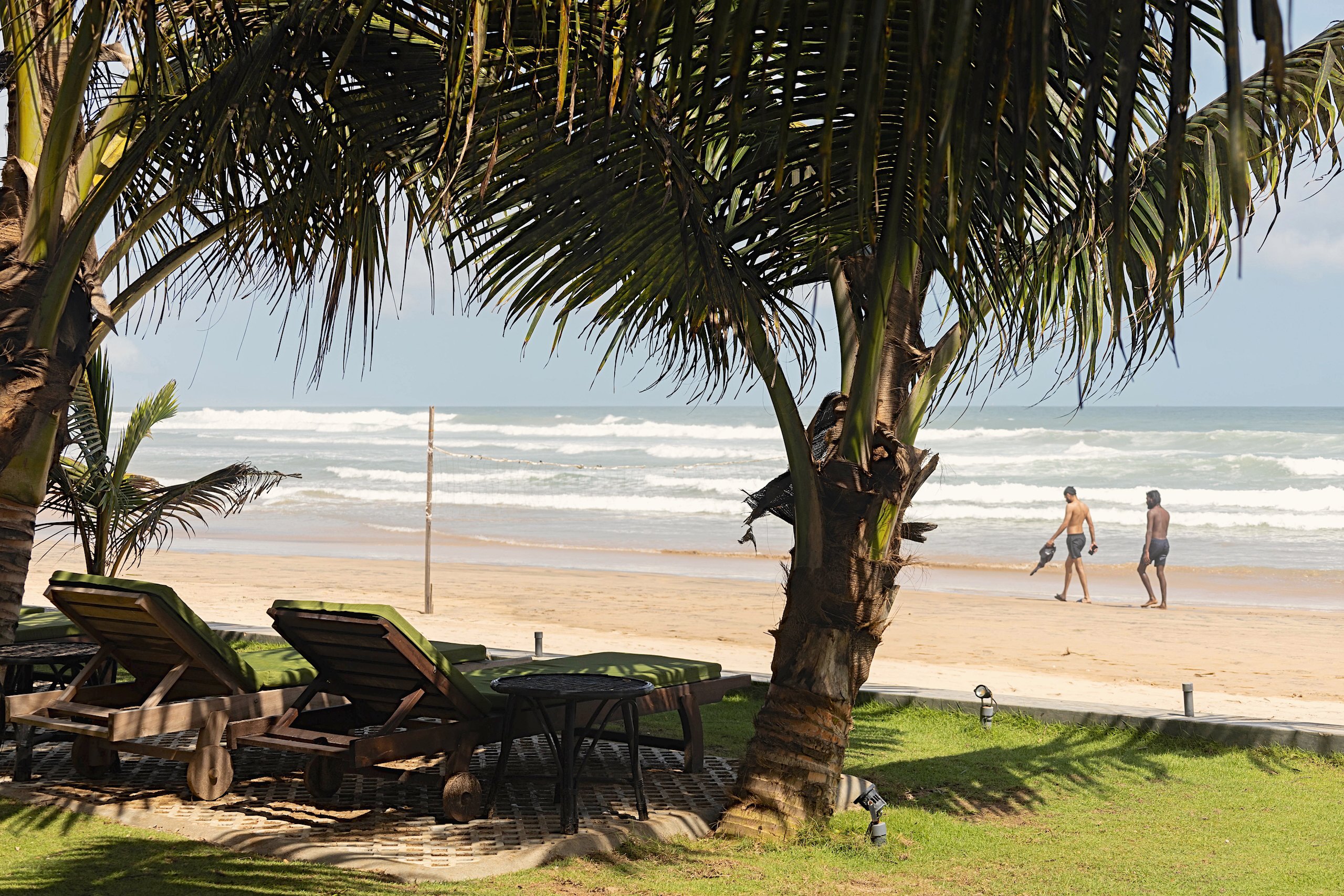 Sun loungers on the lawn under coconut palms, with the beach and sea beyond