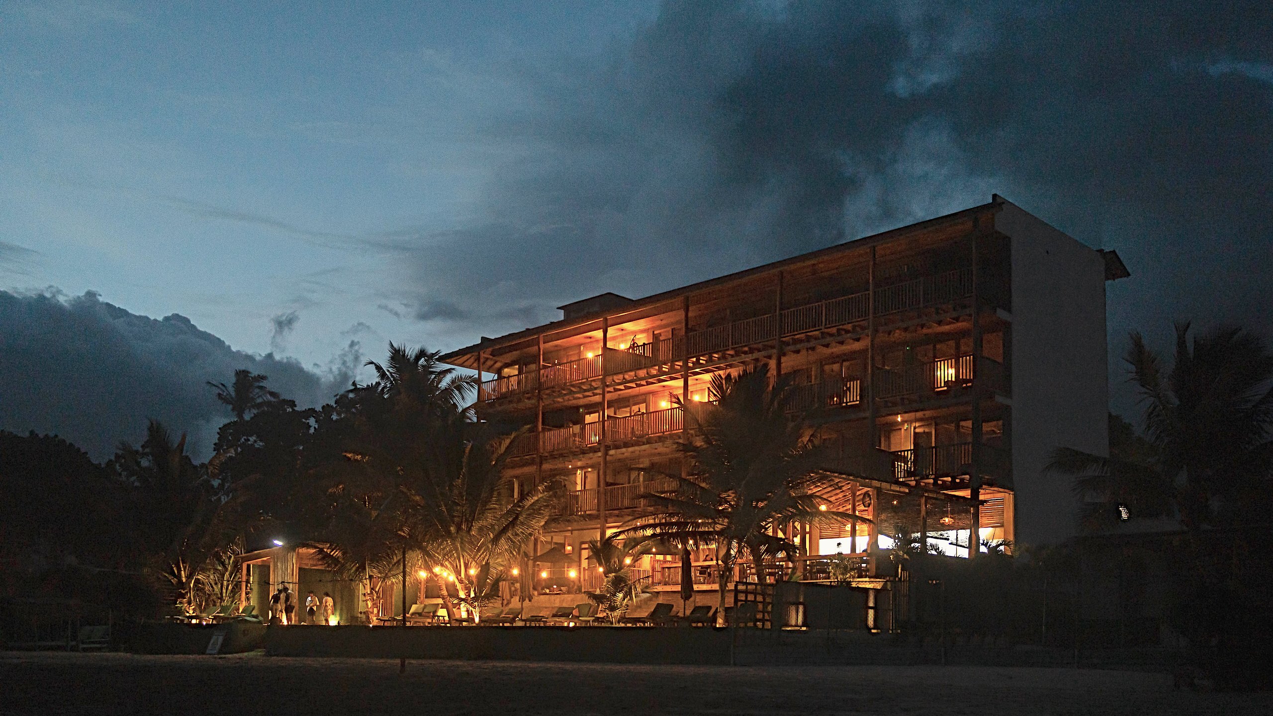 Coast 67 lit up at blue hour, behind a line of palms